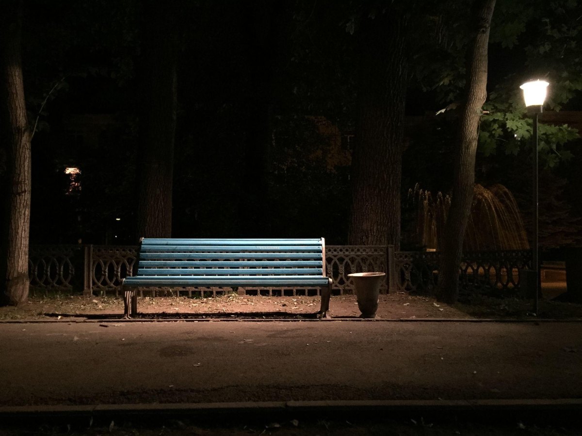 Ławka w nocnym parku